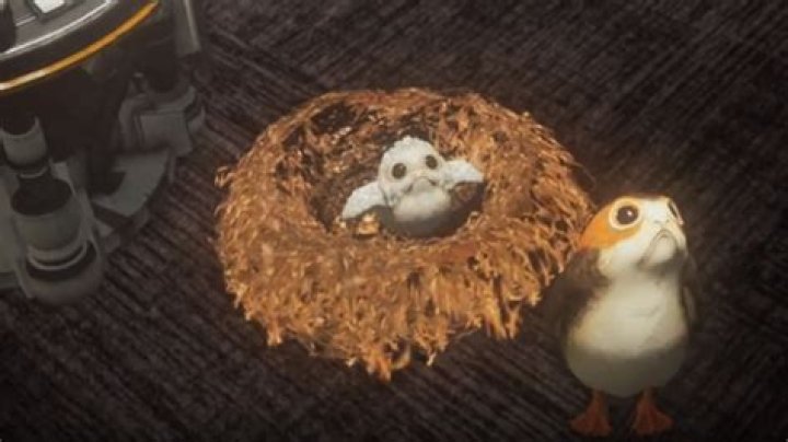 Star Wars: Project Porg lets you raise a family of porgs