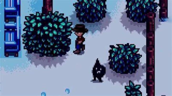 Stardew Valley A Winters Mystery Shadow Guy Location