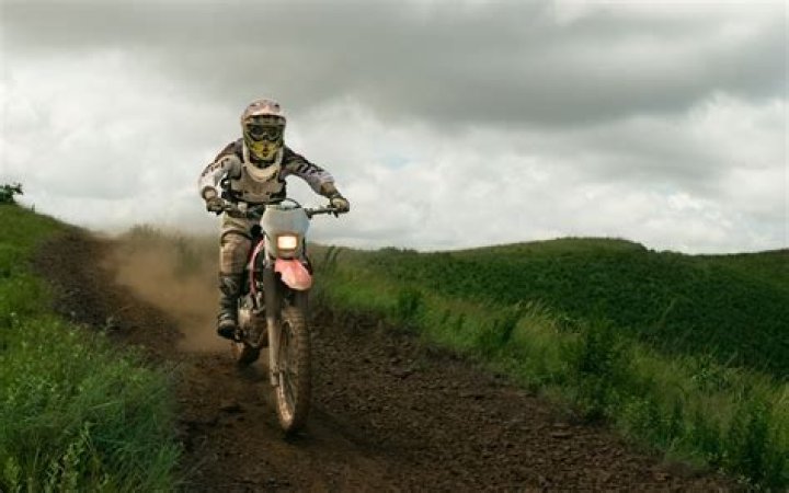 The Best Pit Bikes - GameRevolution