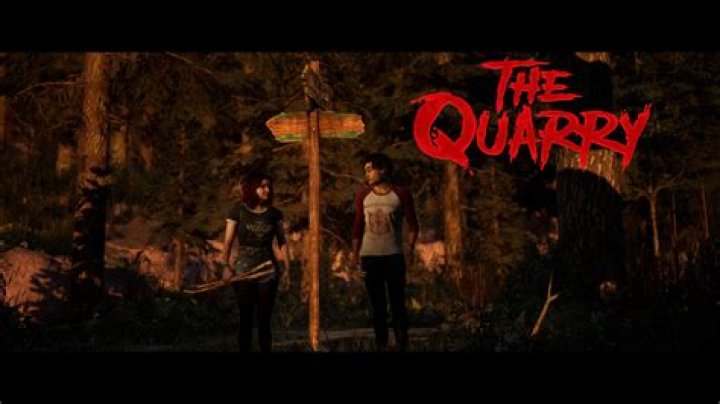
The Quarry: Should You Choose Shady Glade or Rocky Road?