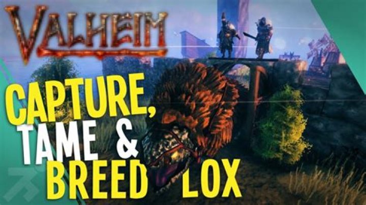 Valheim | How to tame lox