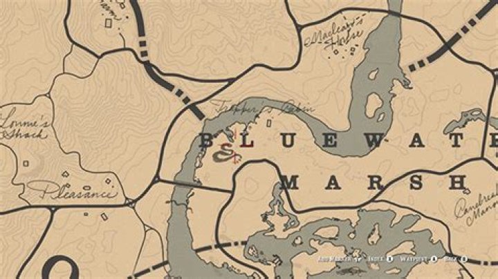 Where to Find Snakes in Red Dead Redemption 2