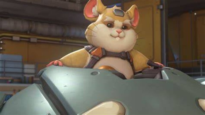 Why Overwatch's Hammond Has Made Dive Comp OP Again with Triple Tank Meta