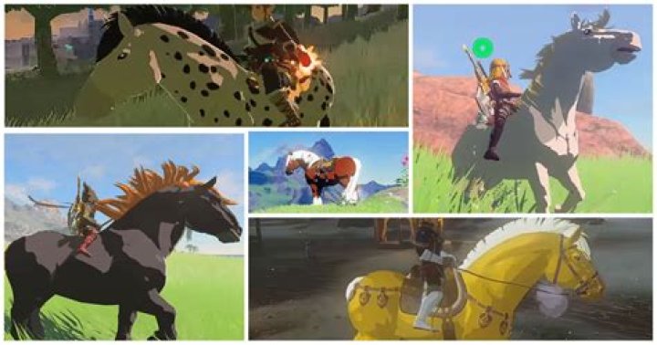Zelda: Tears of the Kingdom Special Horses: All Unique Horse Locations